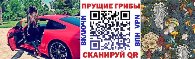 Галлюциногенные грибы прущие грибы  Бутурлиновка 