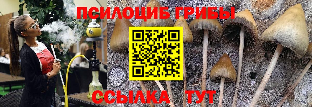 Бутурлиновка  Псилоцибиновые грибы прущие грибы  сколько стоит  Вход с VPN 