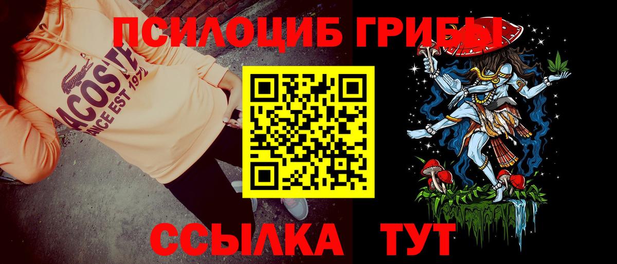 Галлюциногенные грибы Psilocybe Бутурлиновка